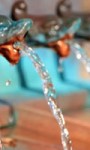 Wie funktioniert eine Wasseraufbereitung?